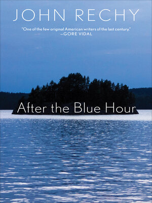 cover image of After the Blue Hour